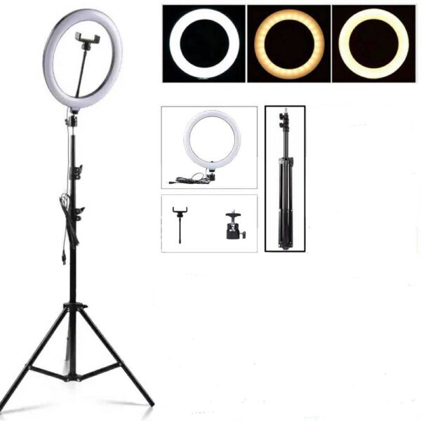 Buy Tripod Stand with Ring Light for Selfie, TikTok (7ft) | Best Price ...